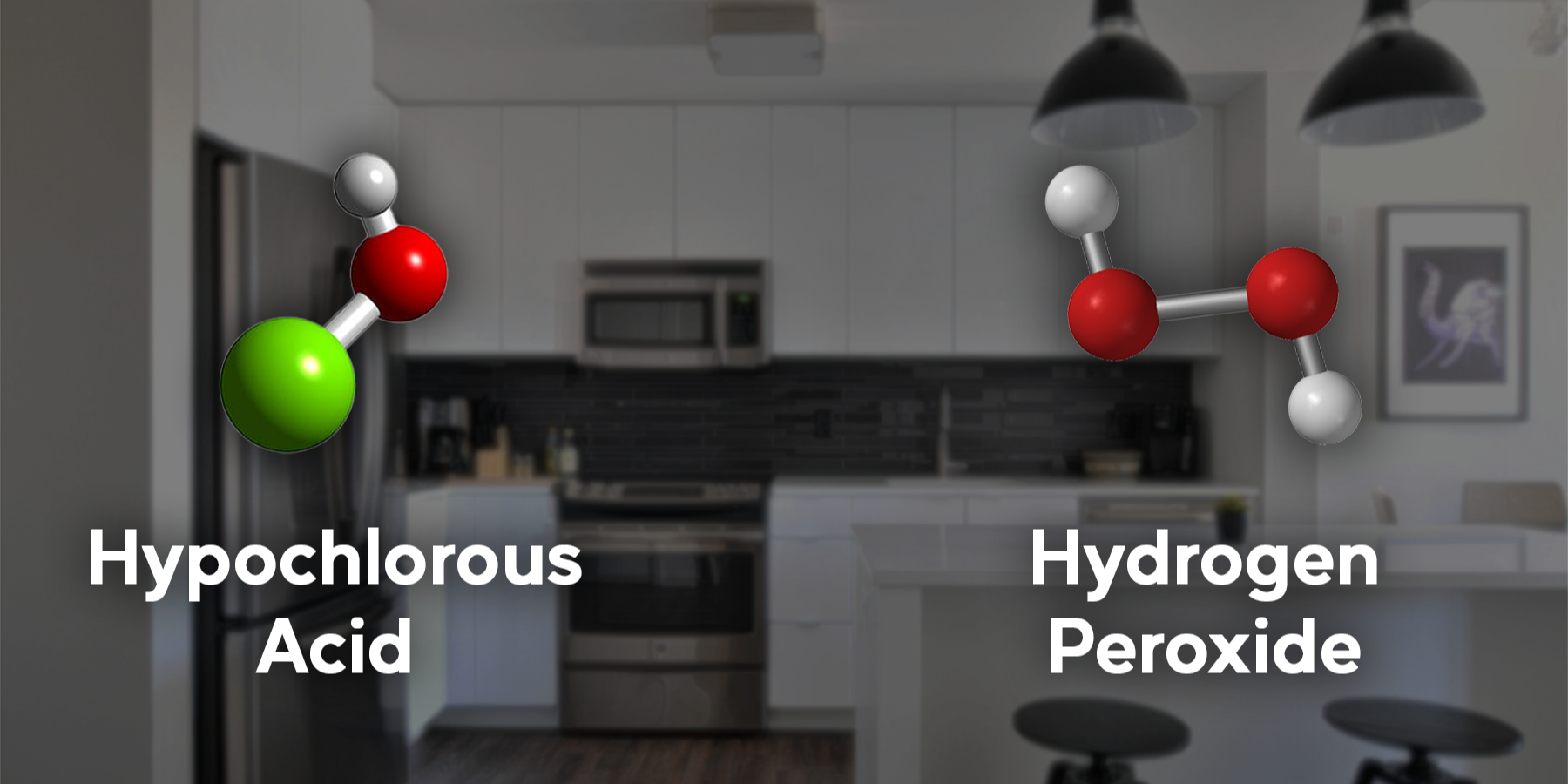 hocl vs h2o2.png
